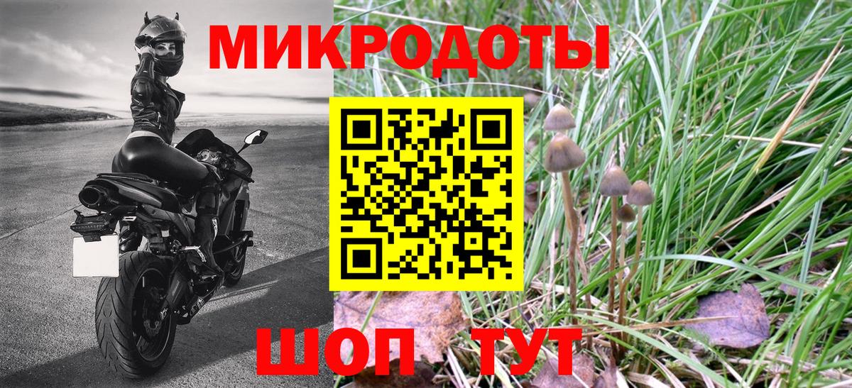 Галлюциногенные грибы прущие грибы Нефтекумск
