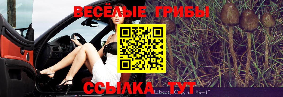 Нефтекумск  Галлюциногенные грибы GOLDEN TEACHER  Псилоцибиновые грибы Psilocybe  Вход с VPN 